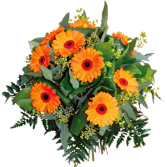 Bouquet rond L'insolant
