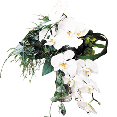 Artifice de fleurs