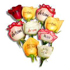 Livraison Bouquet de roses  