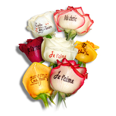 Livraison de roses Bouquet 