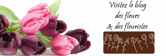 visitez le blog des fleurs et des fleuristes