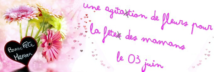 Découvrez notre sélection pour la fête des mères
