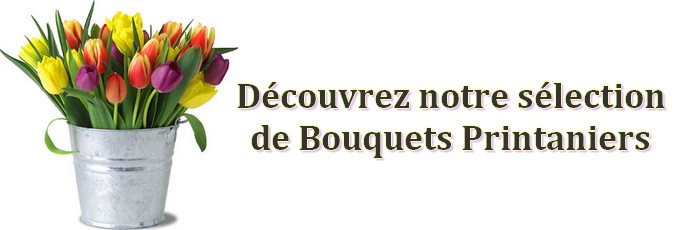 Découvrez notre sélection printanniere