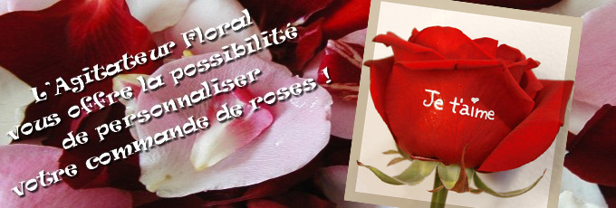 personnalisez vos roses agitateur floral