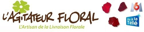 Agitateur Floral Livraison de fleurs