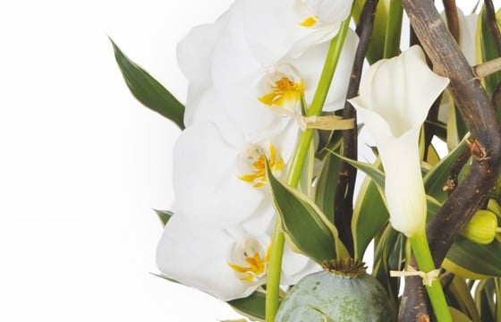 image d'un calla et d'orchidées de la composition