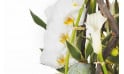 image d'un calla et d'orchidées de la composition