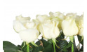 vue des roses de couleurs blanches de la raquette de deuil Angélus