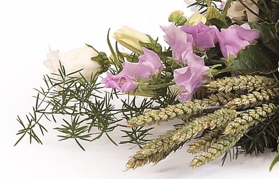 Raquette de deuil parme & blanc | Envoyer des fleurs pour enterrement -  L'agitateur floral