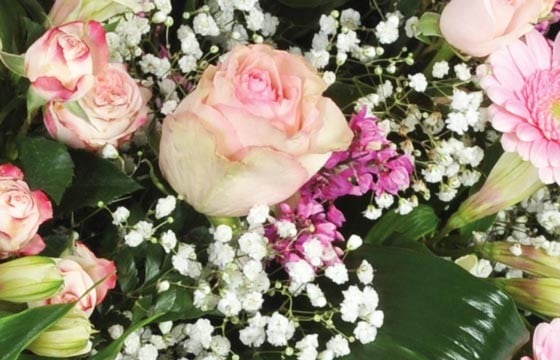 vue sur des roses roses et du gypsophile de la composition de deuil repos éternel