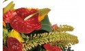 vue sur un anthurium rouge de la raquette L'Eclipse