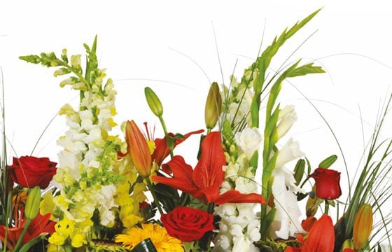 vue sur du glaïeuls blanc de la composition de fleurs pour un deuil