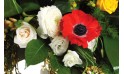 image de renoncules et anémones de la composition florale