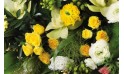 vue sur des roses jaunes de la composition d'enterrement Comète