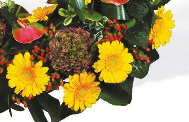 Vue sur des gerberas jaunes et des hortensia vert-pourpre