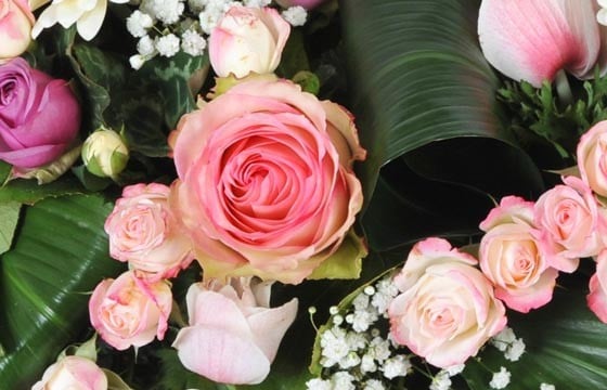 image d'une rose rose de la couronne de deuil Infinie Tendresse