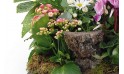 L'Agitateur Floral | vue sur le bas de la composition de plantes Infini