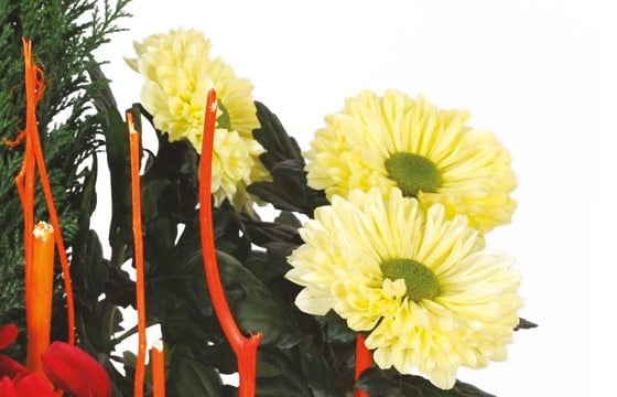 L'Agitateur Floral | L'Agitateur Floral | zoom sur les chrysanthèmes de la Composition de deuil rouge & jaune Jardin d'Hiver
