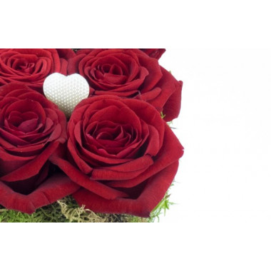 L'Agitateur Floral | zoom sur une magnifique rose rouge
