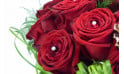 image de deux roses rouges du Bouquet de roses pour Noël Alhambra