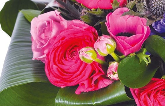 zoom sur des renoncules du Bouquet rond de saison Sarah