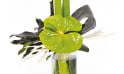 zoom sur l'anthurium du Bouquet d'amaryllis Un Hiver à Paris