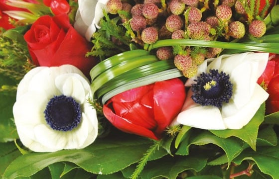 zoom sur des anémones blanches du Bouquet de fleurs rouges Evidence