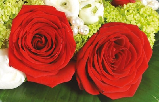 L'Agitateur Floral | zoom sur des roses rouges du Bouquet de fleurs Cherry