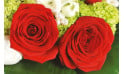 L'Agitateur Floral | zoom sur des roses rouges du Bouquet de fleurs Cherry