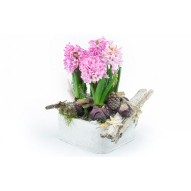L'Agitateur Floral | image de la magnifique coupe de saison de jacinthe rose