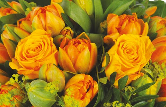 zoom sur les roses et tulipes orange