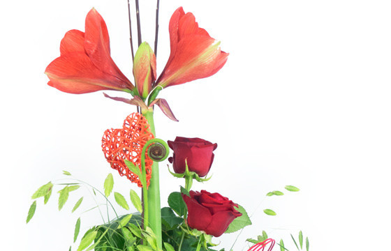 zoom sur les fleurs du Bouquet de fleurs Linéaire Isoline