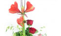 zoom sur les fleurs du Bouquet de fleurs Linéaire Isoline