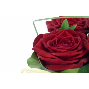 zoom sur une rose rouge de la Composition de roses rouges Pot d'Amour