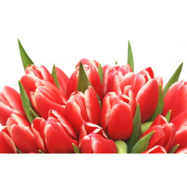 zoom sur le haut du Bouquet de tulipes rouges Perle Douce