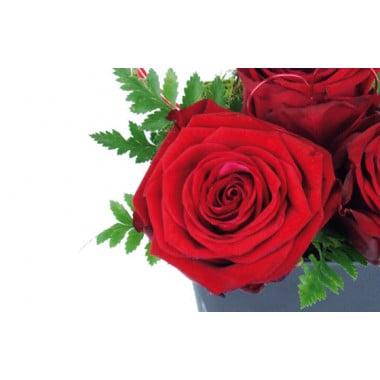 zoom sur une rose rouge du Composition de roses rouges Cupidon