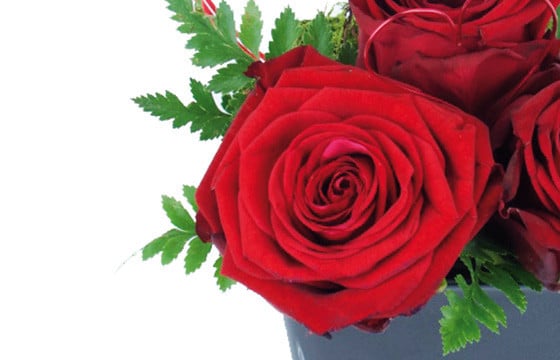 zoom sur une rose rouge du Composition de roses rouges Cupidon