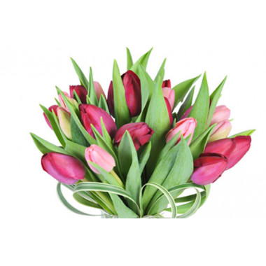 macro sur les tulipes du Bouquet rond Prunelle