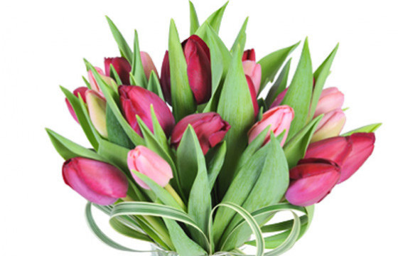 Bouquet rond de tulipes roses & mauves | Livraison fleurs de saison -  L'agitateur floral