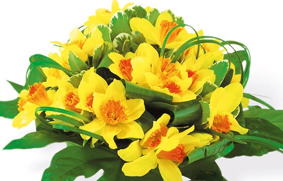 zoom sur le Bouquet de Jonquilles Délice Printanier