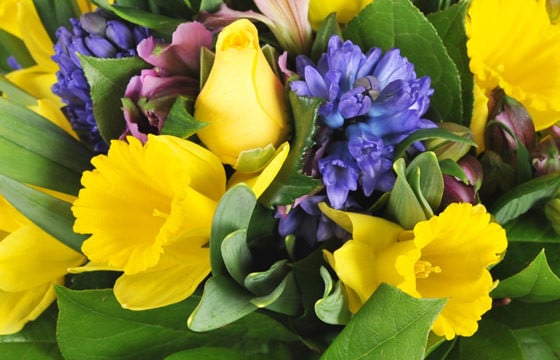 macro sur les fleurs du Bouquet de fleurs de saison Mamina