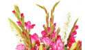 L'Agitateur Floral | zoom sur les glaieul rose du Bouquet de fleurs rose Eclatant