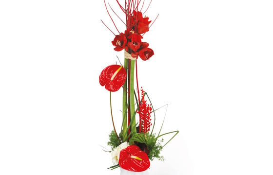L'Agitateur Floral | Zoom image composition de fleurs Arum