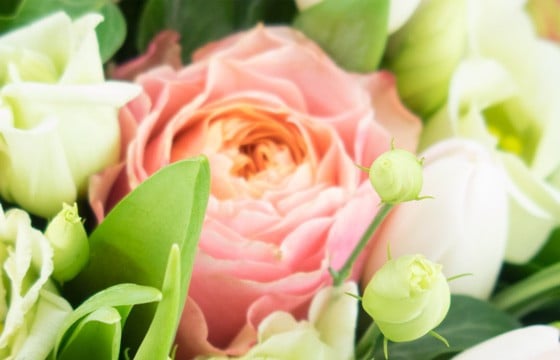 L'Agitateur Floral | image sur une rose rose et lisianthus