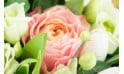 L'Agitateur Floral | image sur une rose rose et lisianthus