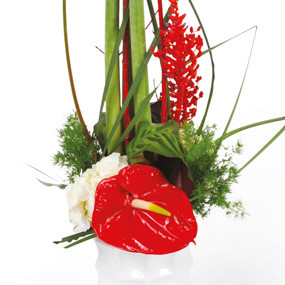 Zoom image composition de fleurs Arum