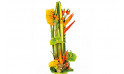 Image zoom composition de fleurs colorées Cesaria