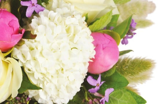 zoom sur un oeillet blanc du bouquet de fleurs