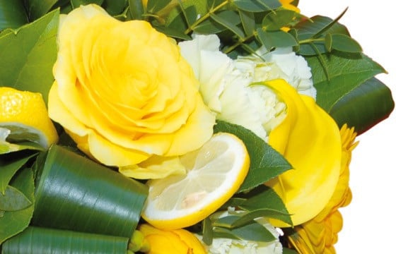 zoom sur une rose jaune et rondelle de citron