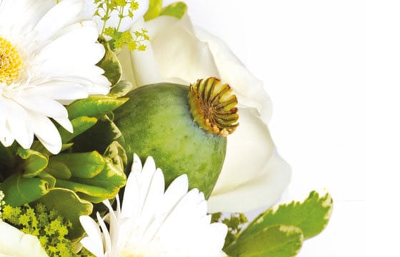 L'Agitateur Floral | zoom sur un pavot du bouquet floral